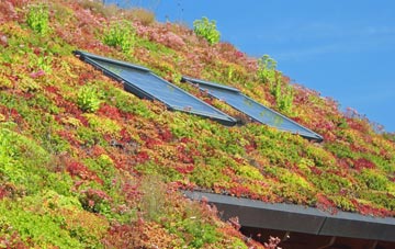 Marsh Baldon living roof systems
