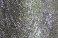 Marsh Baldon fibreglass roof work